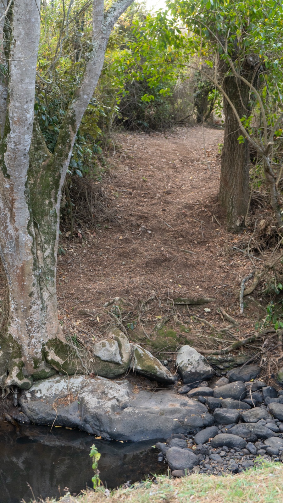 Guided mindfulness trails