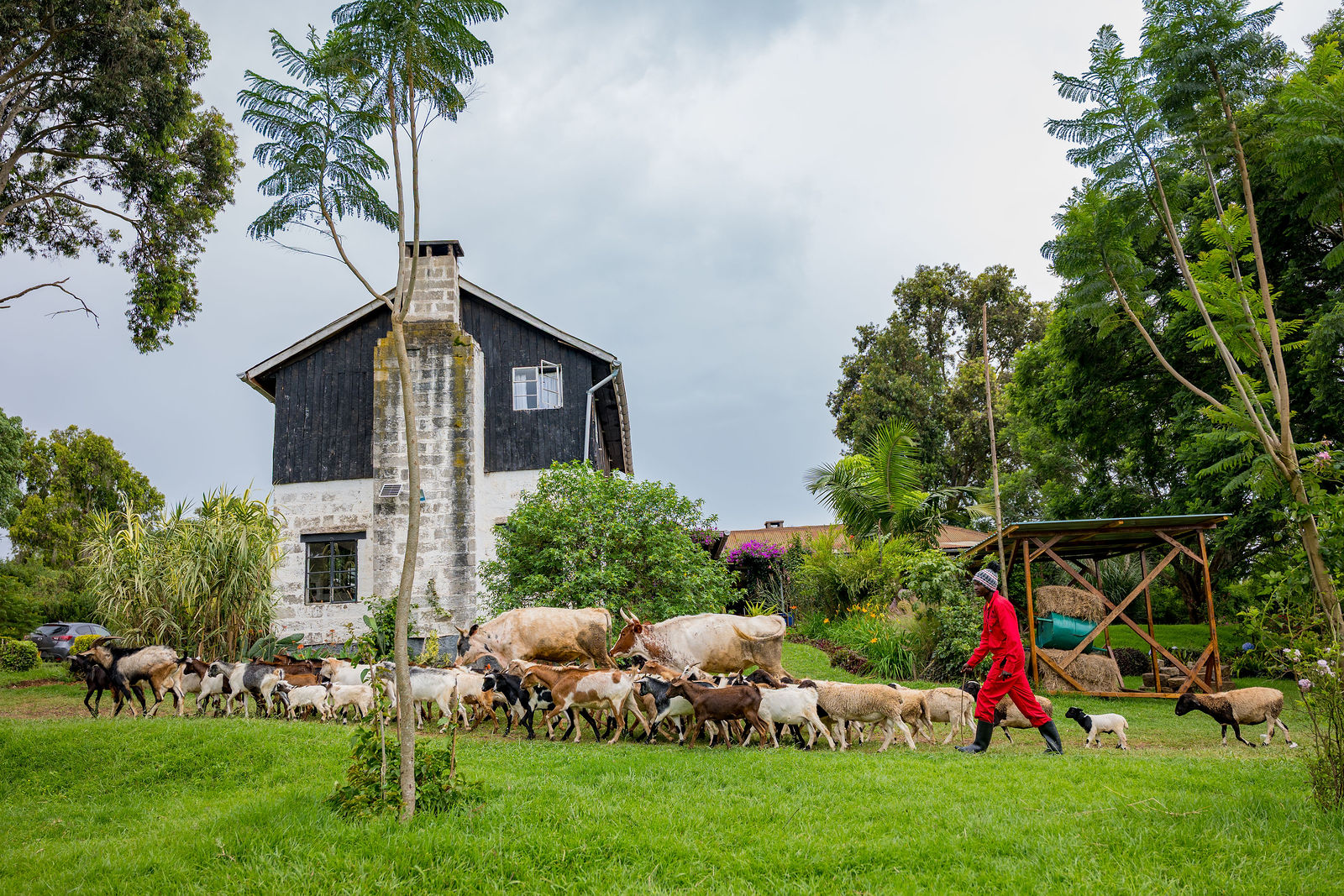The Cottage Is Raised